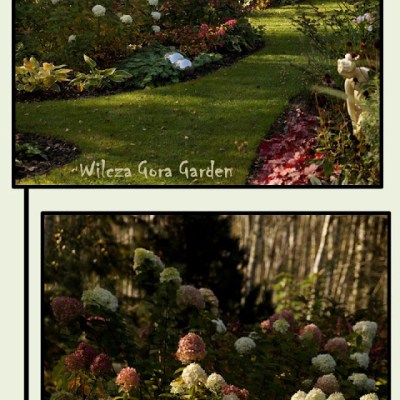 JESIENNE, OGRODOWE KOLAŻE