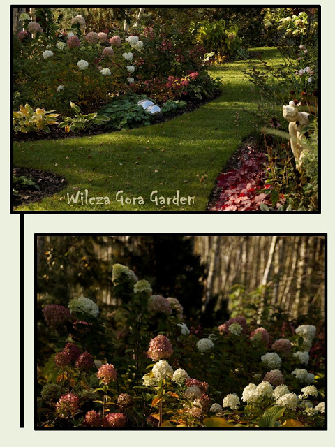 JESIENNE, OGRODOWE KOLAŻE