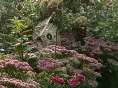 W PAJECZYNOWYM SWIECIE