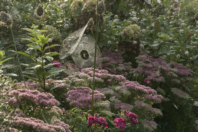 W PAJECZYNOWYM SWIECIE