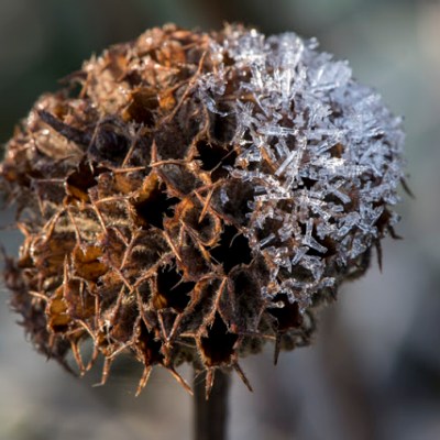 JESIEN CZY ZIMA&nbsp;?