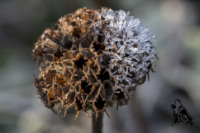 JESIEN CZY ZIMA&nbsp;?