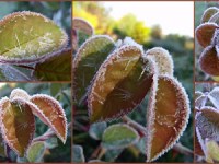 KANDYZOWANE JESIENNE WIDOCZKI&nbsp;…