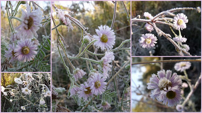 I JESZCZE KILKA MROŹNYCH&nbsp;OBRAZKÓW