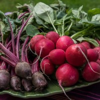 MÓJ ULUBIONY CHŁODNIK Z&nbsp;BOTWINKI