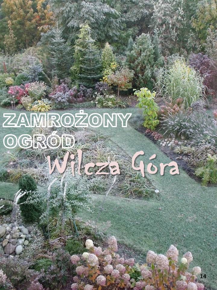 MRÓZ NAMALOWAŁ …