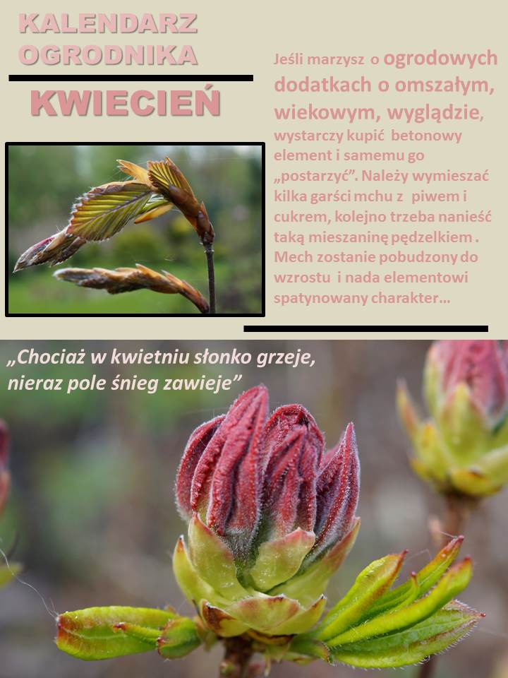 KALENDARZ OGRODNIKA –&nbsp;KWIECIEŃ