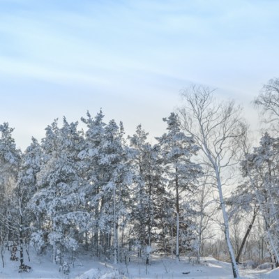 KIEDY SPADNIE DUŻY ŚNIEG&nbsp;…