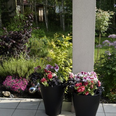 PRZY TARASIE, NA TARASIE&nbsp;…