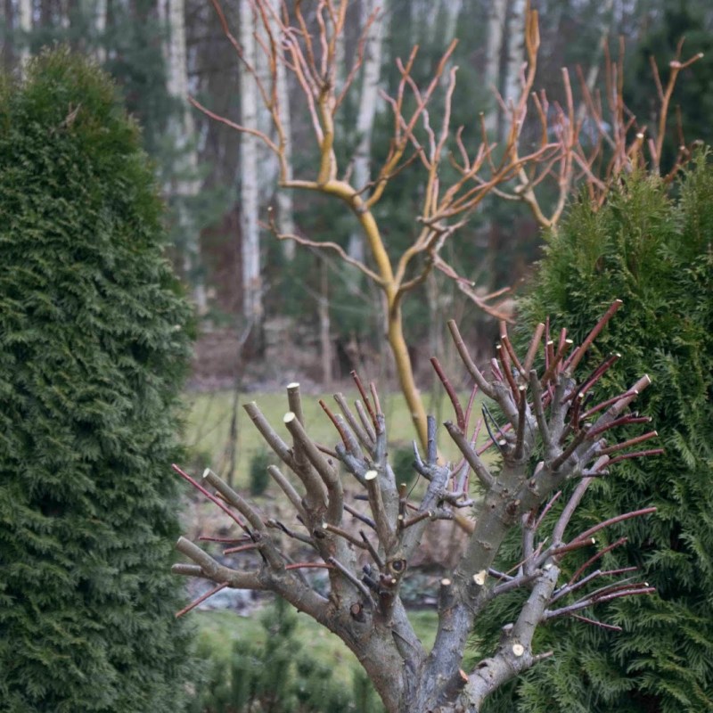 SEZON 2015  – CZAS&nbsp;START