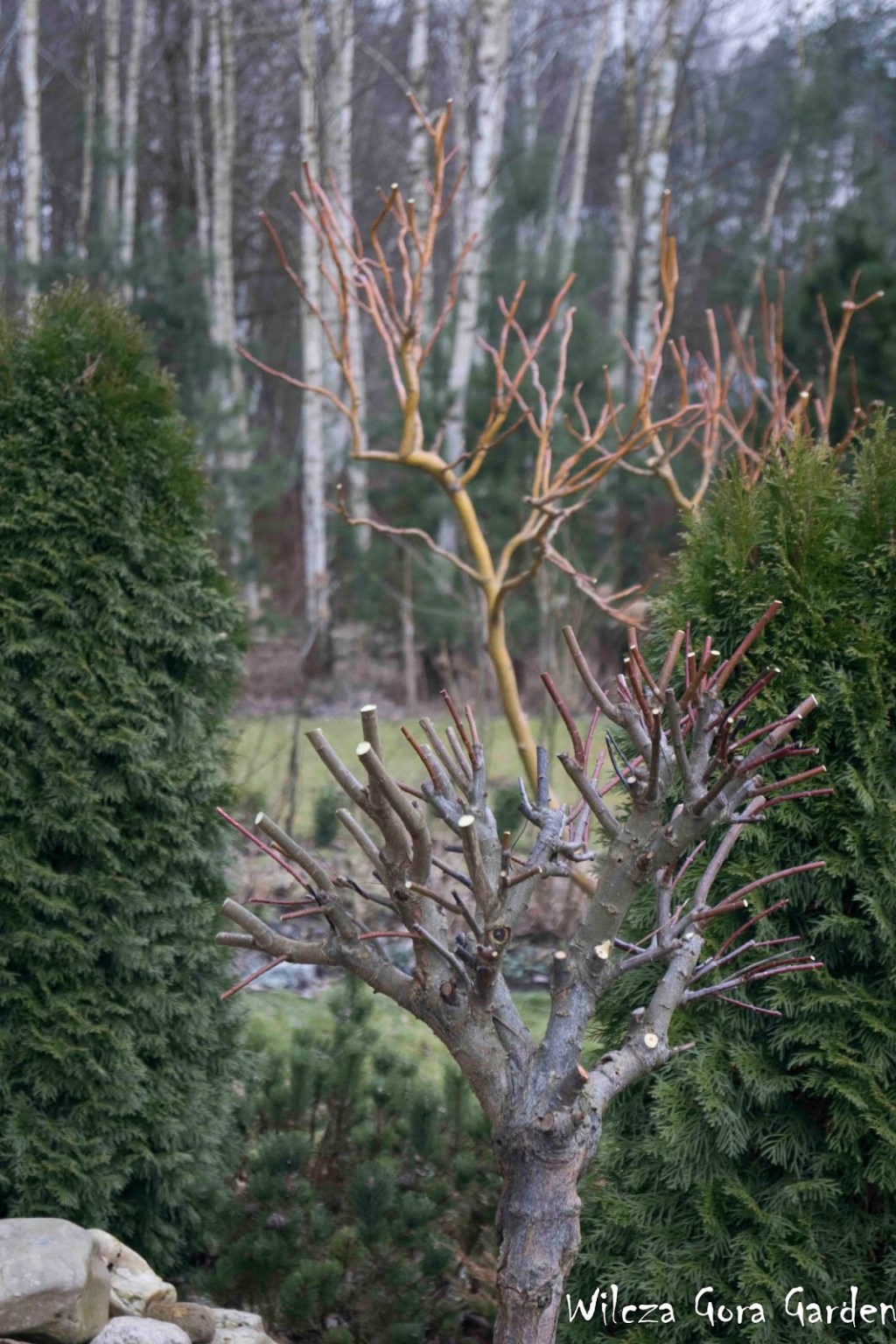 SEZON 2015  – CZAS&nbsp;START