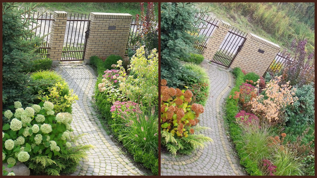 ZAKĄTKI NASZEGO OGRODU W DWÓCH ODSŁONACH…