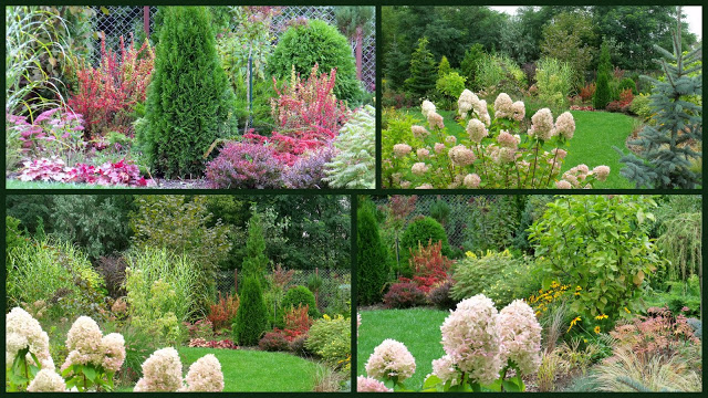 NA LEWO PATRZ, NA PRAWO PATRZ…