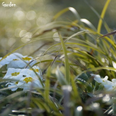 BIALO W OGRODZIE&nbsp;…