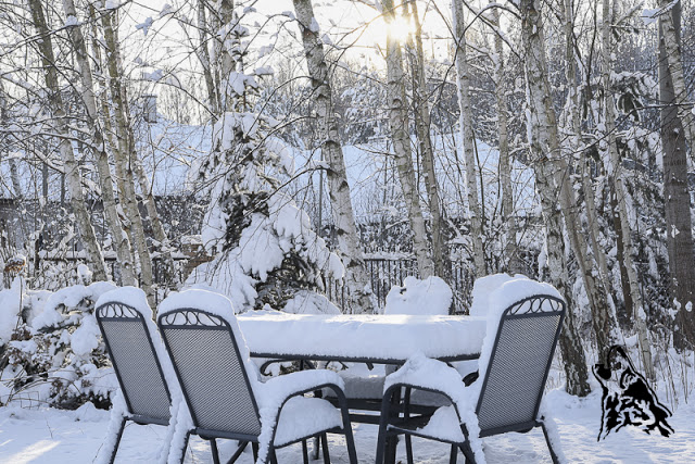 3 PORY ROKU CZ. II – BIAŁE INSPIRACJE