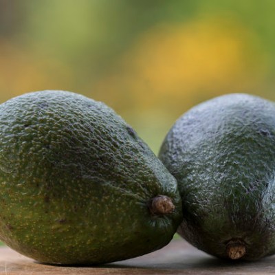 WILCZOGORSKIE GUACAMOLE