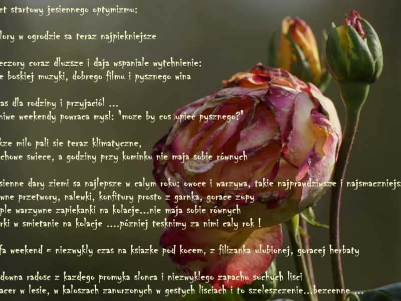 NIEDZIELNY PAKIET JESIENNEGO&nbsp;OPTYMIZMU