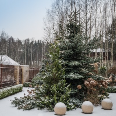 PIERWSZY DZIEŃ ASTRONOMICZNEJ&nbsp;WIOSNY