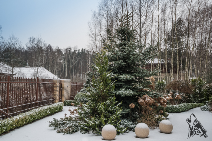PIERWSZY DZIEŃ ASTRONOMICZNEJ&nbsp;WIOSNY