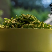 SALATKA Z FASOLKI&nbsp;SZPARAGOWEJ