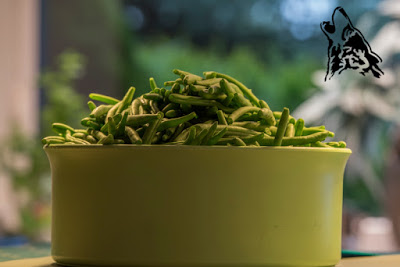 SALATKA Z FASOLKI SZPARAGOWEJ