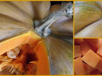 „WILCZOGÓRSKI” KREM Z DYNI&nbsp;(ZUPA)