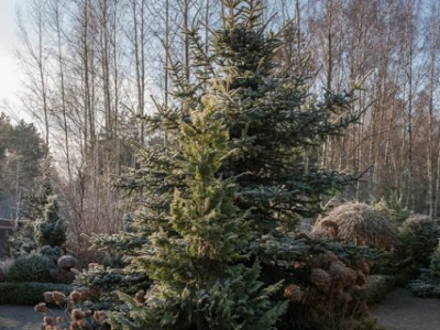 SWIETY MNIE KOCHA&nbsp;….