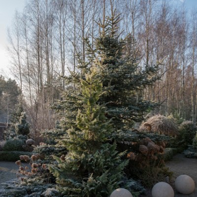 SWIETY MNIE KOCHA&nbsp;….