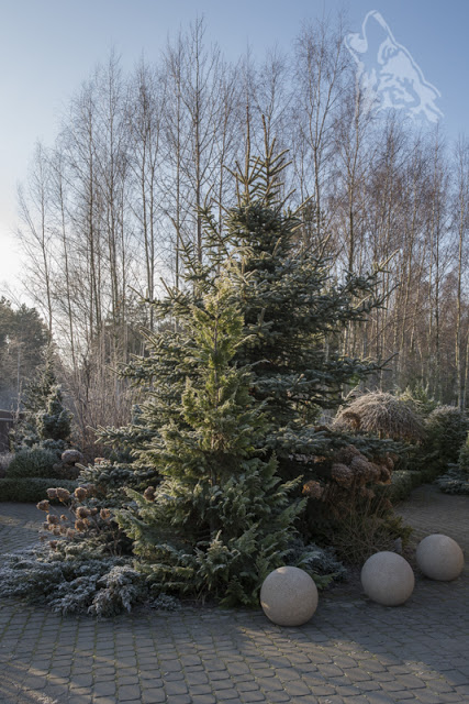 SWIETY MNIE KOCHA&nbsp;….