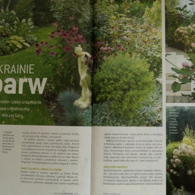 NASZ OGROD W MIESIĘCZNIKU „MAGNOLIA”