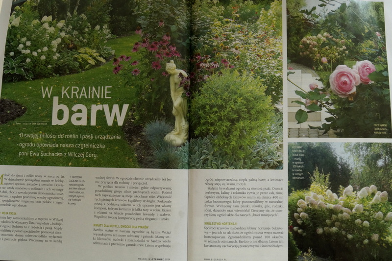 NASZ OGROD W MIESIĘCZNIKU „MAGNOLIA”