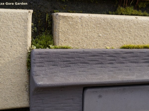 NAJMNIEJSZY OGRÓD NA ŚWIECIE&nbsp;?