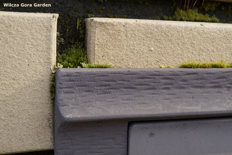 NAJMNIEJSZY OGRÓD NA ŚWIECIE&nbsp;?