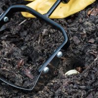 ZANIM ZIEMIA ZAMARZNIE W&nbsp;OGRODZIE