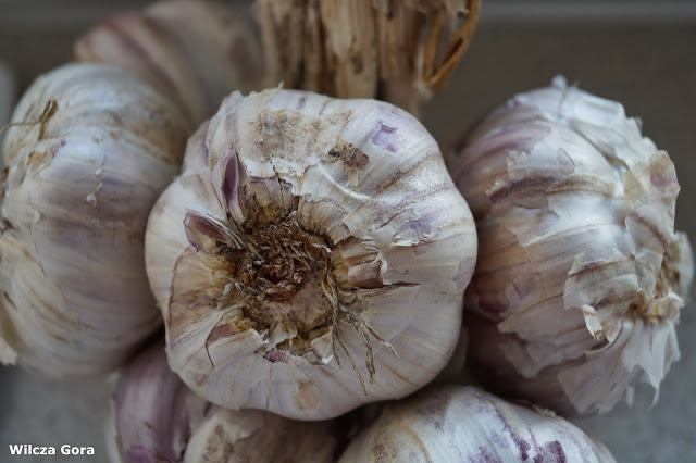 SAŁATKA KALAFIOROWA