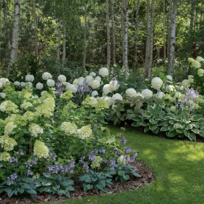 BIEL – NAJWAZNIEJSZY KOLOR W NASZYM&nbsp;OGRODZIE