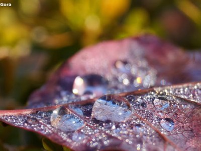 BO KRYSZTAŁ BYŁ&nbsp;PRZEŹROCZYSTY