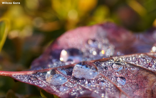 BO KRYSZTAŁ BYŁ&nbsp;PRZEŹROCZYSTY