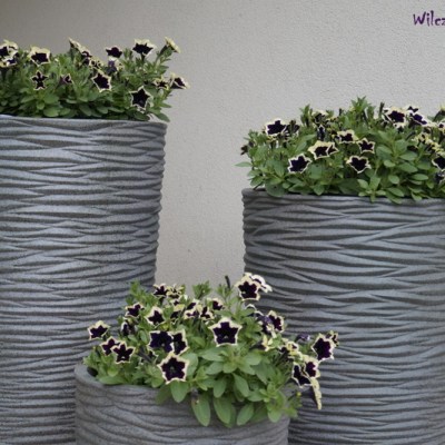 ZMIANA WARTY W&nbsp;WILCZEJ