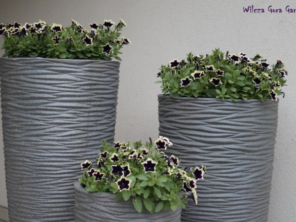 ZMIANA WARTY W&nbsp;WILCZEJ