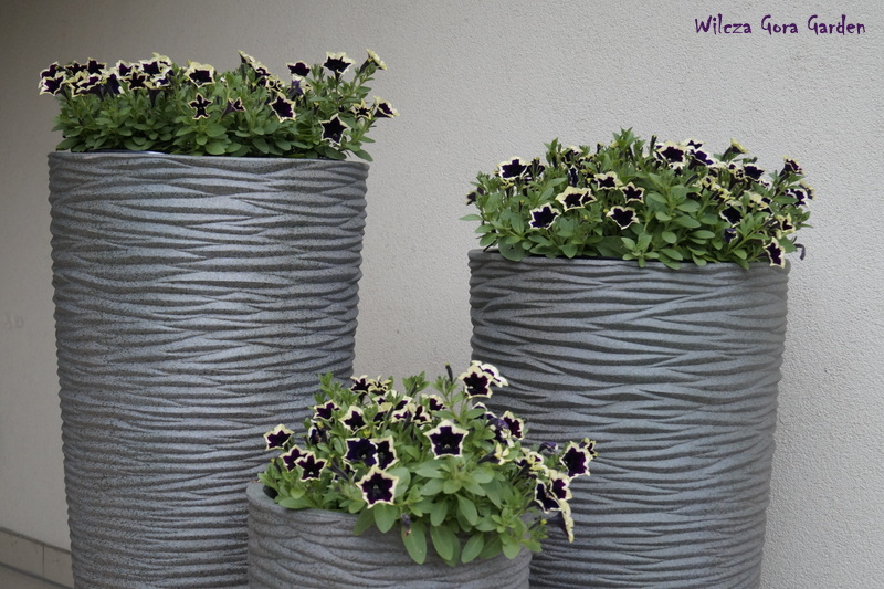 ZMIANA WARTY W&nbsp;WILCZEJ