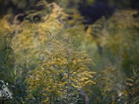 12 LAT MINĘŁO JAK JEDEN DZIEŃ&nbsp;…