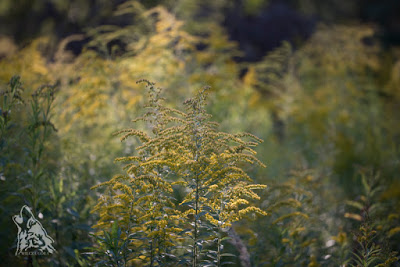 12 LAT MINĘŁO JAK JEDEN DZIEŃ&nbsp;…
