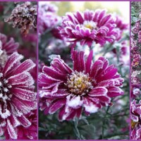 OSTRA ODSŁONA ASTRÓW…