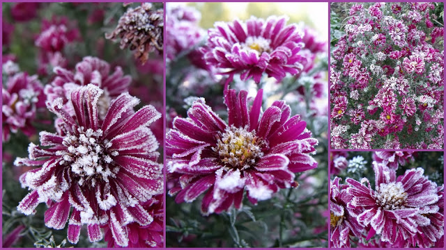 OSTRA ODSŁONA ASTRÓW…