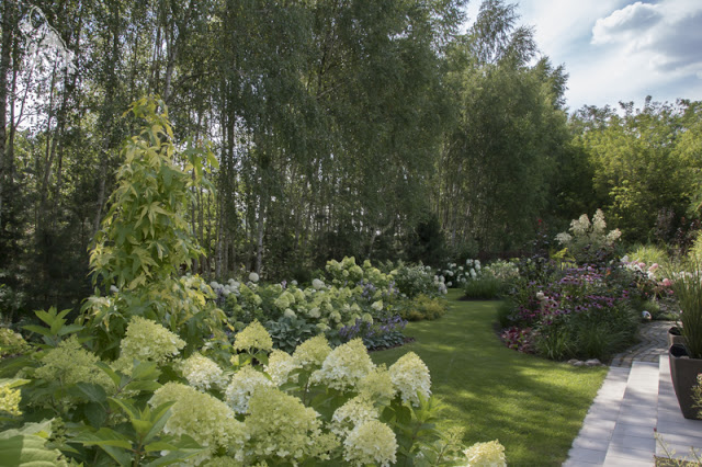 KOCHAMY BRAZ / LOVING&nbsp;BROWN