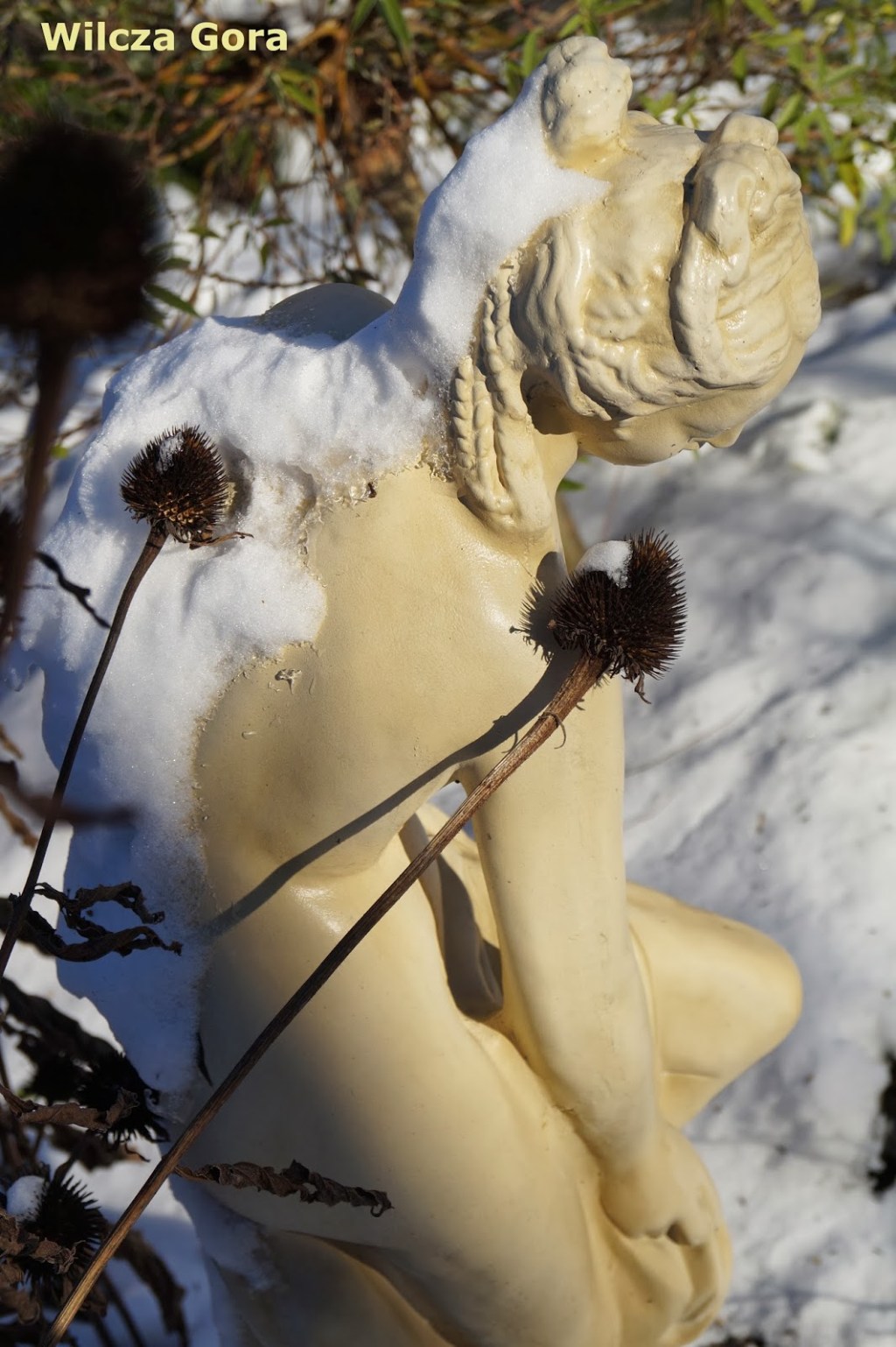 FREDKA W ŚNIEŻNEJ PELERYNIE….