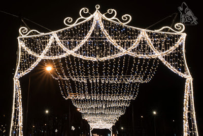 MAGICZNY, KOLOROWY OGROD