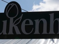 KEUKENHOF – NAJPIEKNIEJSZY WIOSENNY OGROD&nbsp;SWIATA