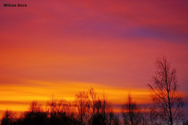 WSCHÓD SŁOŃCA W&nbsp;WILCZEJ…